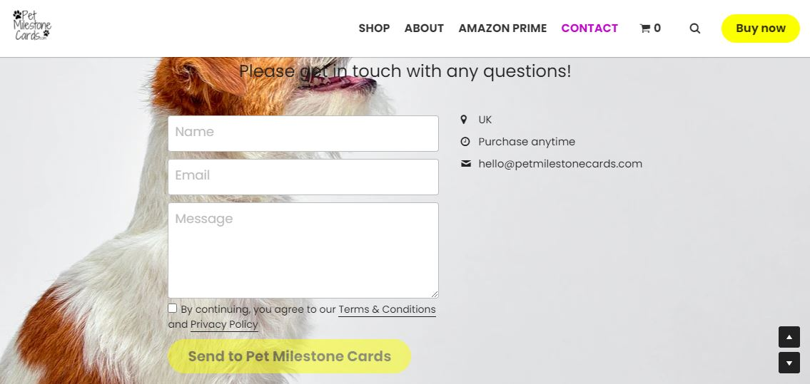 free business email account free business email account